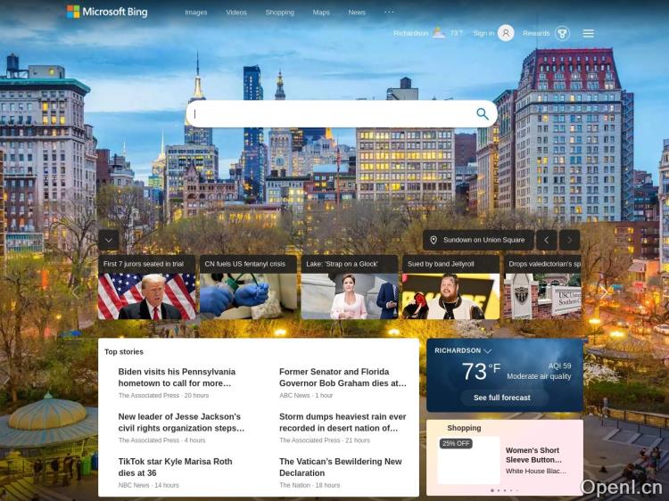 Bing Image Creator截图