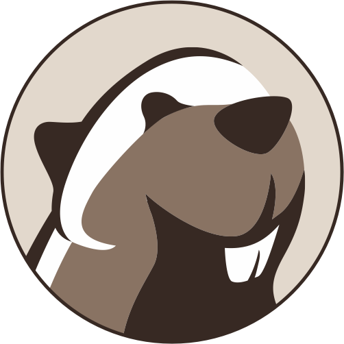 dbeaver.com