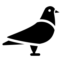 dovel.email