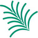 evergreen-ils.org