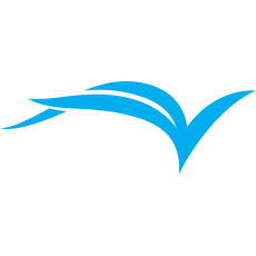 iaesteunitedstates.org