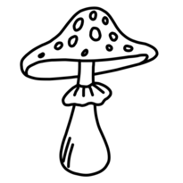 mycorrhiza.wiki